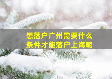 想落户广州需要什么条件才能落户上海呢