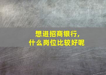 想进招商银行,什么岗位比较好呢