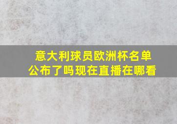 意大利球员欧洲杯名单公布了吗现在直播在哪看