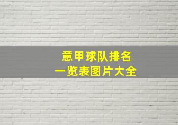 意甲球队排名一览表图片大全