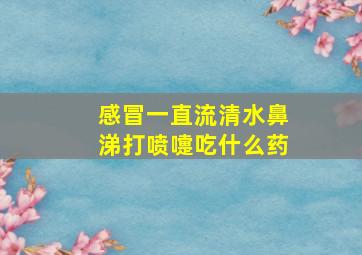 感冒一直流清水鼻涕打喷嚏吃什么药