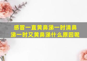 感冒一直黄鼻涕一时清鼻涕一时又黄鼻涕什么原因呢