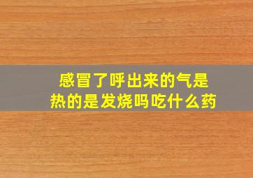 感冒了呼出来的气是热的是发烧吗吃什么药