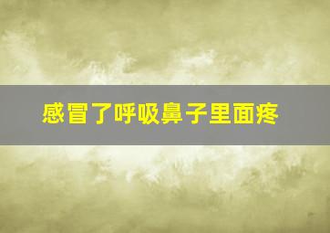 感冒了呼吸鼻子里面疼