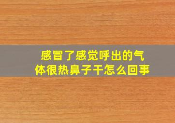 感冒了感觉呼出的气体很热鼻子干怎么回事