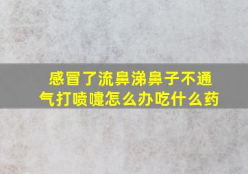 感冒了流鼻涕鼻子不通气打喷嚏怎么办吃什么药