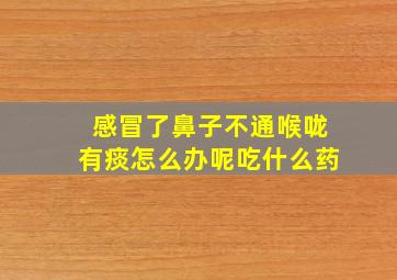 感冒了鼻子不通喉咙有痰怎么办呢吃什么药