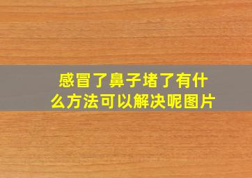 感冒了鼻子堵了有什么方法可以解决呢图片