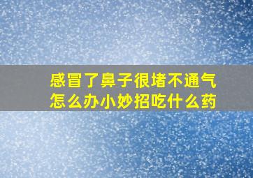 感冒了鼻子很堵不通气怎么办小妙招吃什么药