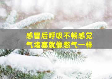 感冒后呼吸不畅感觉气堵塞就像憋气一样