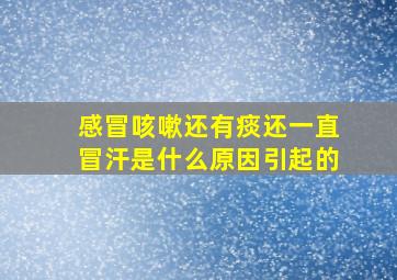 感冒咳嗽还有痰还一直冒汗是什么原因引起的