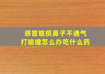 感冒咳痰鼻子不通气打喷嚏怎么办吃什么药