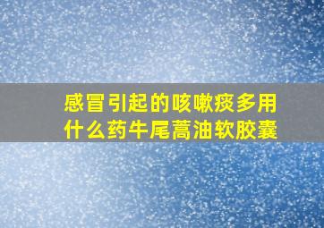 感冒引起的咳嗽痰多用什么药牛尾蒿油软胶囊