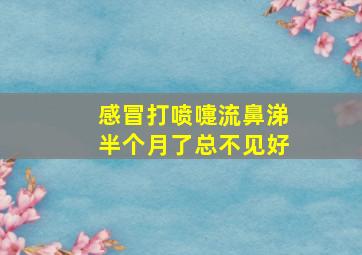 感冒打喷嚏流鼻涕半个月了总不见好