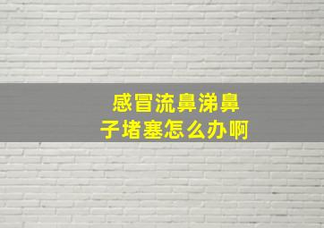 感冒流鼻涕鼻子堵塞怎么办啊