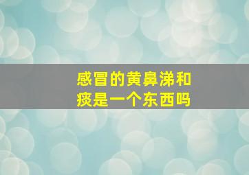 感冒的黄鼻涕和痰是一个东西吗