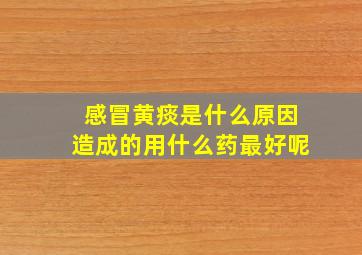 感冒黄痰是什么原因造成的用什么药最好呢