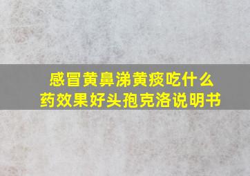 感冒黄鼻涕黄痰吃什么药效果好头孢克洛说明书