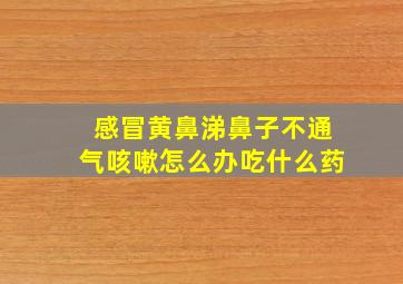 感冒黄鼻涕鼻子不通气咳嗽怎么办吃什么药