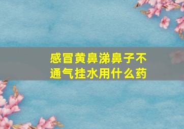 感冒黄鼻涕鼻子不通气挂水用什么药