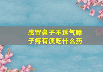 感冒鼻子不透气嗓子疼有痰吃什么药