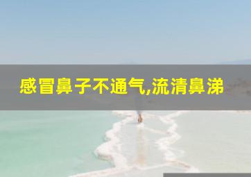 感冒鼻子不通气,流清鼻涕