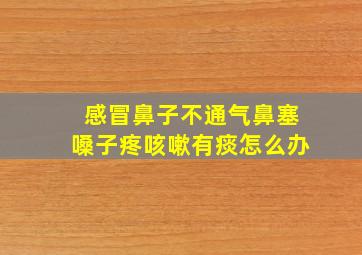 感冒鼻子不通气鼻塞嗓子疼咳嗽有痰怎么办