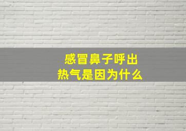 感冒鼻子呼出热气是因为什么