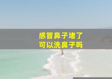 感冒鼻子堵了可以洗鼻子吗