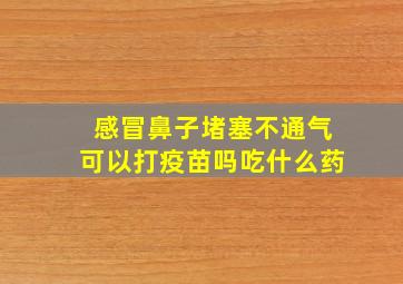 感冒鼻子堵塞不通气可以打疫苗吗吃什么药