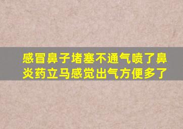 感冒鼻子堵塞不通气喷了鼻炎药立马感觉出气方便多了