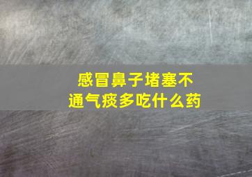 感冒鼻子堵塞不通气痰多吃什么药