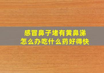 感冒鼻子堵有黄鼻涕怎么办吃什么药好得快