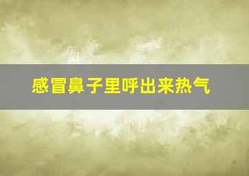 感冒鼻子里呼出来热气