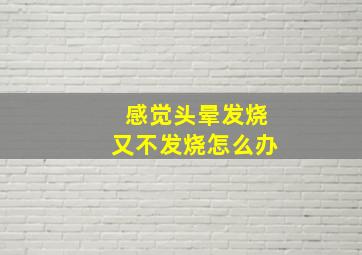 感觉头晕发烧又不发烧怎么办