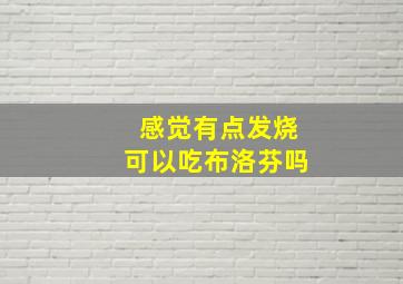 感觉有点发烧可以吃布洛芬吗