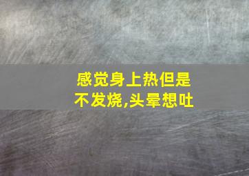 感觉身上热但是不发烧,头晕想吐