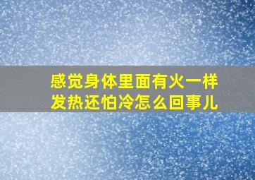 感觉身体里面有火一样发热还怕冷怎么回事儿