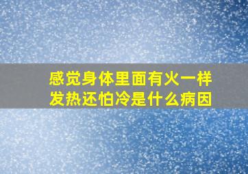 感觉身体里面有火一样发热还怕冷是什么病因