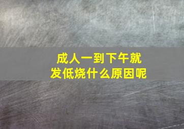 成人一到下午就发低烧什么原因呢