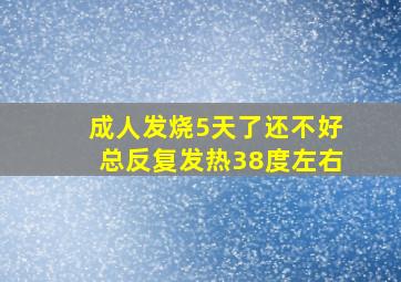 成人发烧5天了还不好总反复发热38度左右