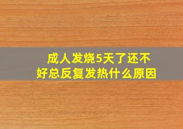 成人发烧5天了还不好总反复发热什么原因