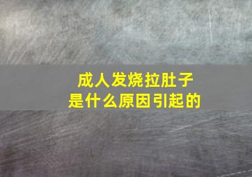 成人发烧拉肚子是什么原因引起的