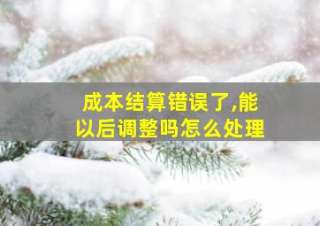 成本结算错误了,能以后调整吗怎么处理