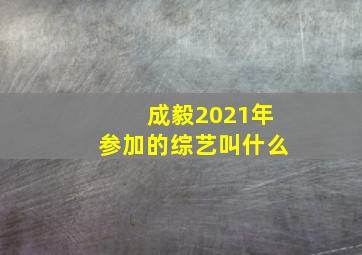 成毅2021年参加的综艺叫什么