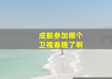 成毅参加哪个卫视春晚了啊