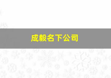 成毅名下公司