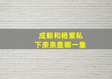 成毅和杨紫私下亲亲是哪一集