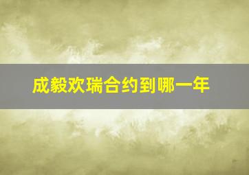 成毅欢瑞合约到哪一年