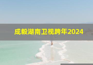 成毅湖南卫视跨年2024